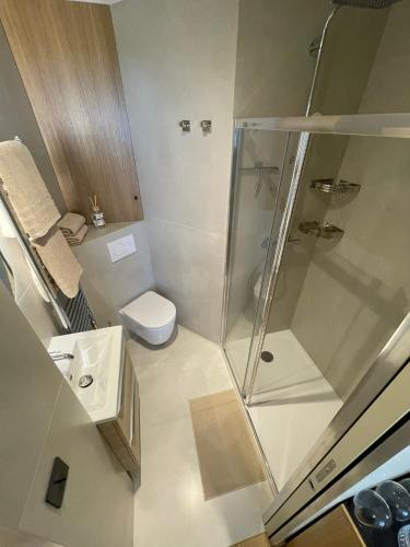 une petite salle de bain avec douche et toilettes dans l'établissement La Suite Parisienne, à Paris