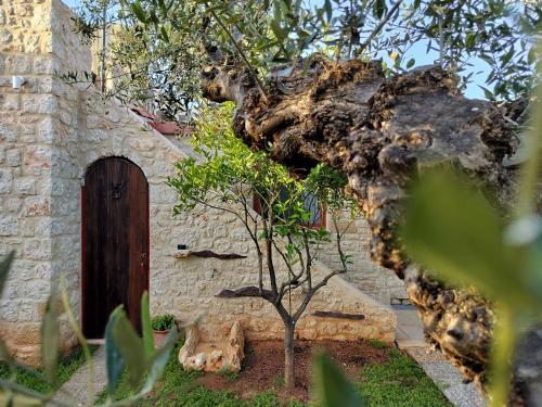 a tree in front of a building with a door at George's Houses in Riglia