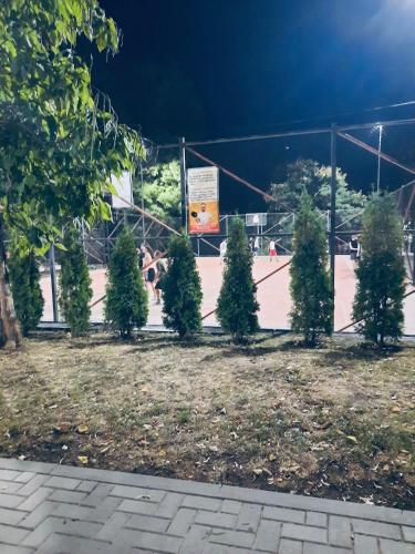 a bunch of christmas trees in front of a basketball court at Nikolas House Barbeque in Chişinău