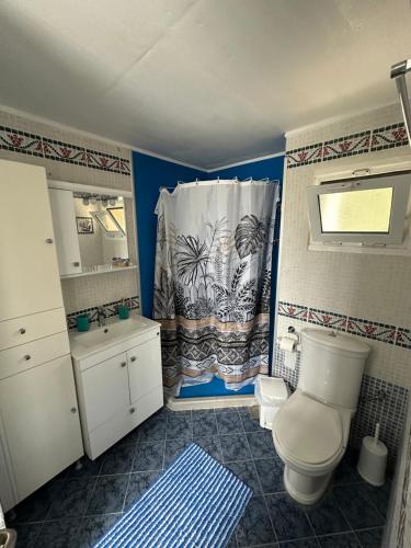 een badkamer met toilet en douchegordijn bij Heras house in Iraion