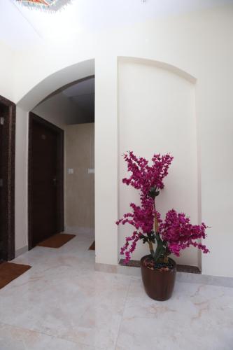 Fotografie z fotogalerie ubytování Aabu Heights v destinaci Mount Ábú