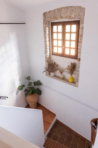 a bathroom with a window and some plants on a shelf at La Vieille Demeure in Torreilles