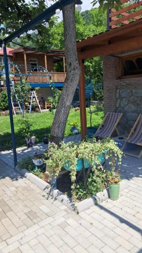 Ein Garten an der Unterkunft Your home, Lagodekhi