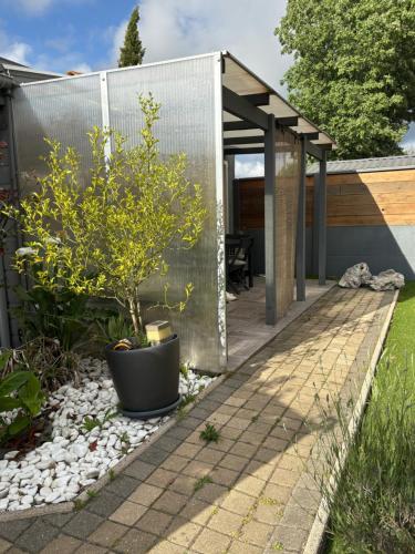 einen Garten mit einem kleinen Baum in einem Topf in der Unterkunft Lo in Audenge