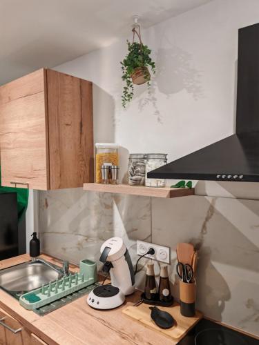 une cuisine avec un comptoir et un mixeur dans l'établissement Bulle tropicale jungle, à Clermont-Ferrand