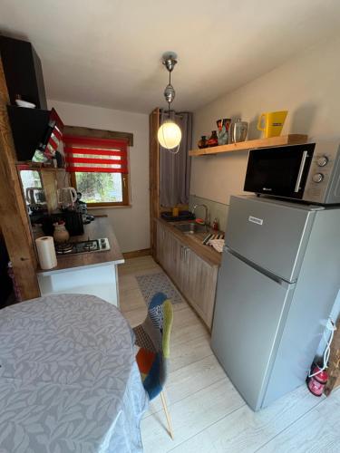 a kitchen with a refrigerator and a sink and a table at Chalet papillon Domaine de la Mamounette in Boussoulet