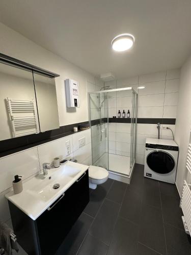 een badkamer met een wastafel, een toilet en een douche bij Mosel Solea Boutique Apartment in Klüsserath