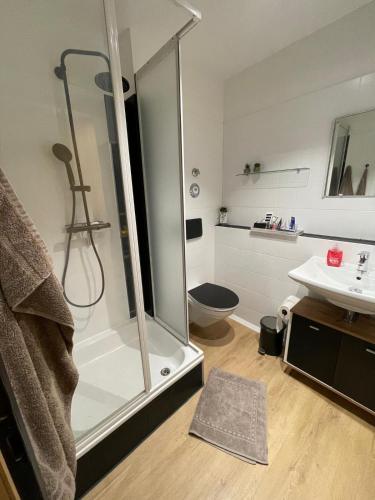 a bathroom with a shower and a toilet and a sink at Seehaas1 in Friedrichshafen