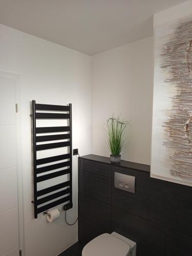 een badkamer met een toilet en een zwarte kast bij Aurora in Zagreb