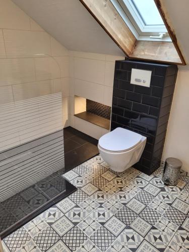 a bathroom with a toilet and a shower at Ferienwohnung Monteurzimmer in Eppelborn