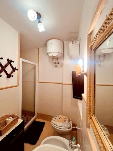 a bathroom with a toilet and a sink and a mirror at La casa di Nonna Carissima in Villalago