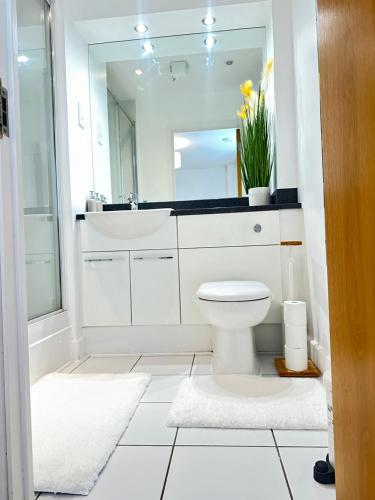 Koupelna v ubytování High Rise En-suite Room With Gym And Free Parking in Royal Docks Excel E16 London