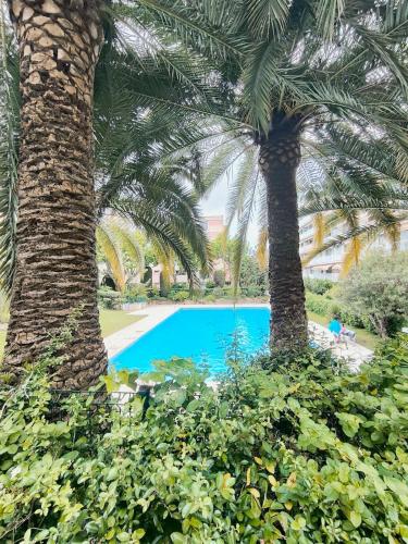 deux palmiers en face d'une piscine dans l'établissement Home2Sea - Piscine, Jardin, studio cabine, 1 canapé lit convertible 2 ADULTES, 1 lit superposé triple 3 ENFANTS ou ADOS, à Vallauris