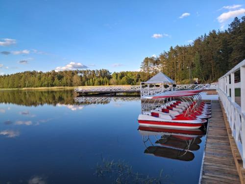 a group of boats are docked next to a dock at Lawendowy Zakątek Na Gwizdówce in Załakowo