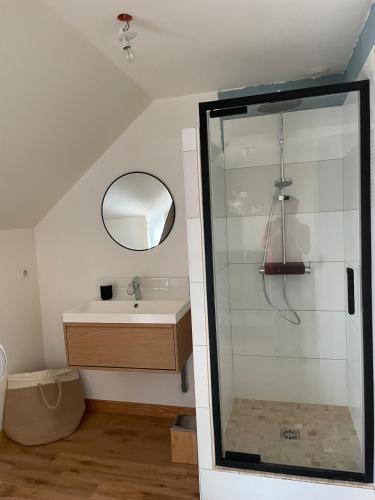 une salle de bain avec une douche, un lavabo et un miroir dans l'établissement House Saint Laurent Nouan balneo and pool, à Saint-Laurent-Nouan