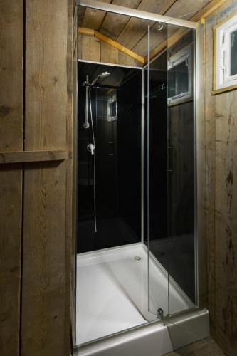 a shower with a glass door in a bathroom at Camping 2000 in Januv Dul