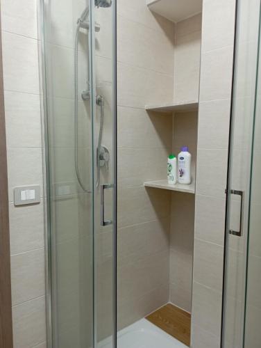 a shower with a glass door in a bathroom at Il Ponticello in Gradillo