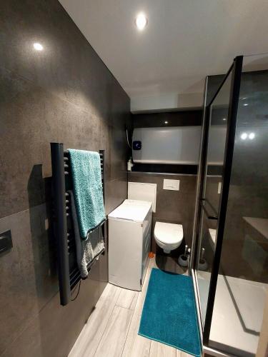 La salle de bains est pourvue de toilettes et d'un tapis bleu. dans l'établissement Studio, à Chambéry