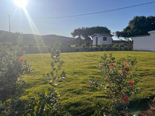 a field of grass with a house in the background at Tenute Efis in Galtellì