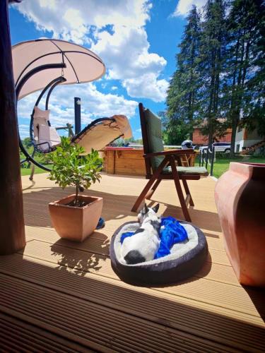 a cat laying in a dog bed on a deck at Inn Green, kuća 3 zvjezdice in Koprivnica