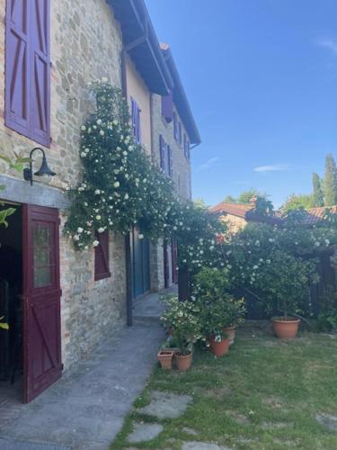 Zahrada ubytování Agriturismo Campo del Pillo