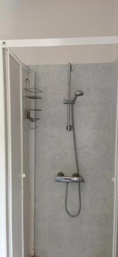 a room with a shower with several shelves on the wall at Casa Maria in Pettenasco