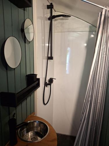 a bathroom with a sink and a shower at De Zonnewagen in Sint Jacobiparochie