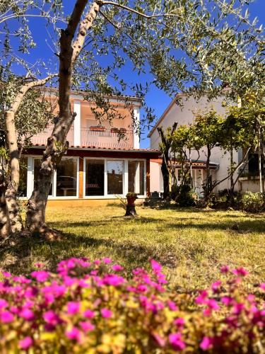 Casa Della Tartaruga