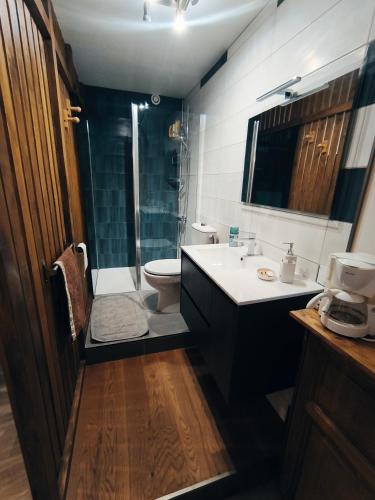 une salle de bain avec un lavabo, des toilettes et une douche dans l'établissement Chez Nine, chambre indépendante avec terrasse, à Sénas