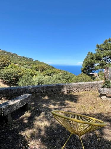 une chaise jaune à côté d'un banc et de l'océan dans l'établissement Bergerie corse avec vue mer, à Piana