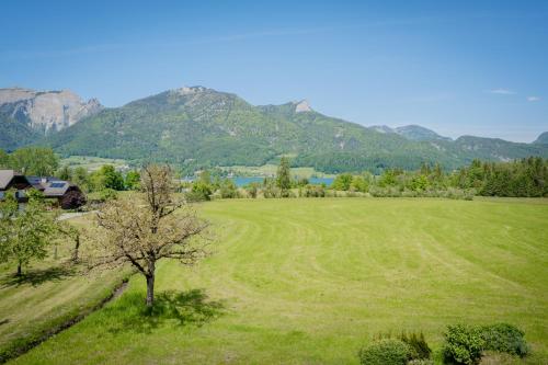 a green field with a tree and mountains in the background at Arnestgut in Strobl