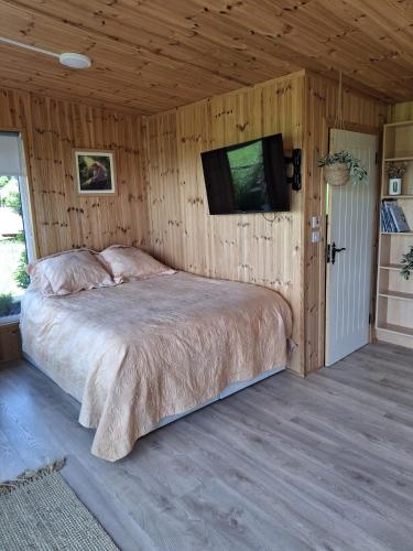 a bedroom with a bed and a tv on a wall at Deeside Manor in Stabannan