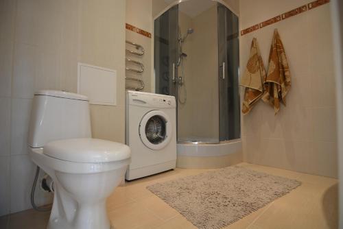 a bathroom with a toilet and a washing machine at Airites street apartment in Liepāja