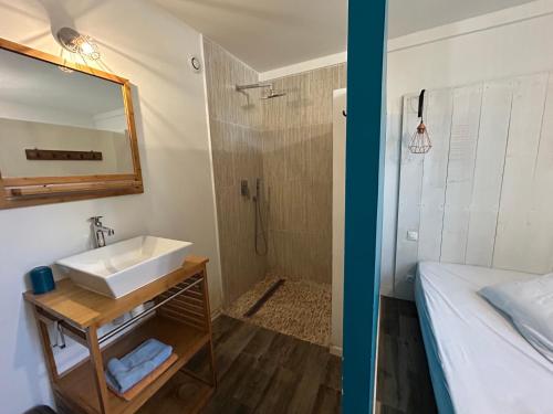 une salle de bain avec un lavabo et une douche dans l'établissement L'Arcachonnaise, à La Teste-de-Buch