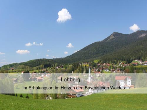 a view of a village in a mountain at GarniHotel zur Linde - Bayerischer Wald - aktivCard mit 154 kostenfreien Leistungen - kostenloser Parkplatz in Lohberg