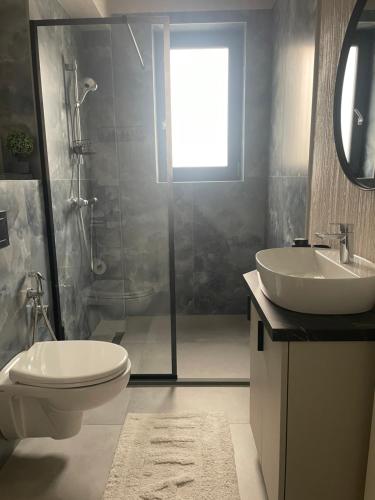 a bathroom with a toilet and a sink and a shower at Apartament A&Maya in Râmnicu Vâlcea