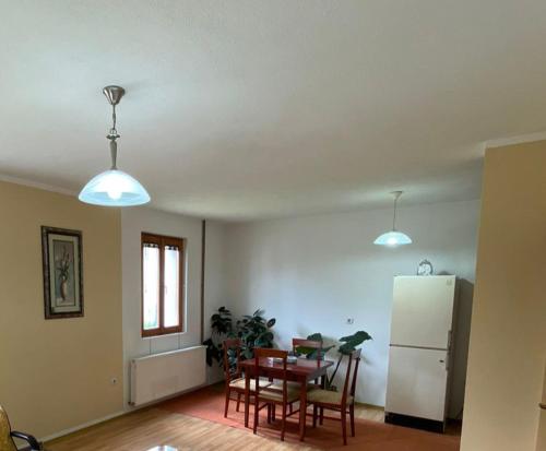 Cuisine ou kitchenette dans l'établissement Žabljak Apartman