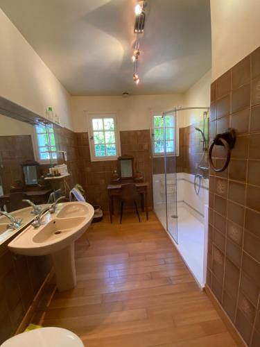 une salle de bain avec une douche, un lavabo et une baignoire dans l'établissement Les Mourguettes, à Carpentras