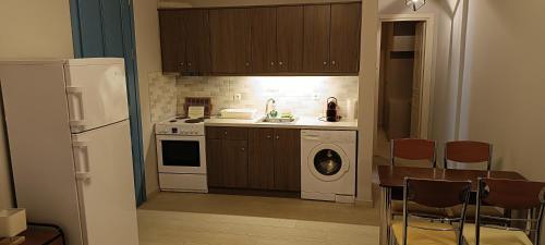 a kitchen with a refrigerator and a washing machine at Andros Guesthouses in Andros