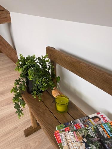 a wooden bench with a plant and a magazine at Clos Almahe in Gainneville