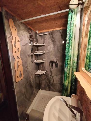 a bathroom with a shower with a guitar on the wall at Zielony domek na Kaszubach in Raduń