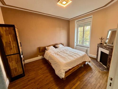 une chambre avec un lit et une cheminée dans l'établissement Apparemment chaleureux hyper centre Nancy, à Nancy