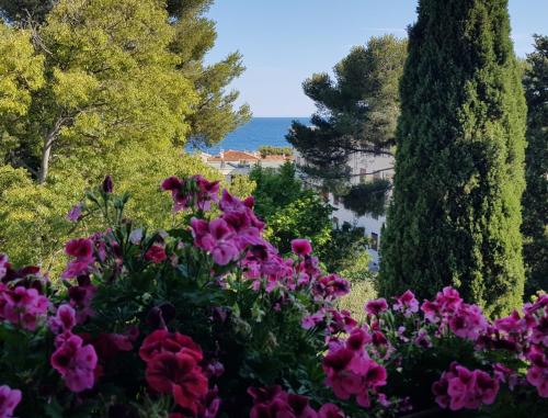 T2 face et proche mer et gare