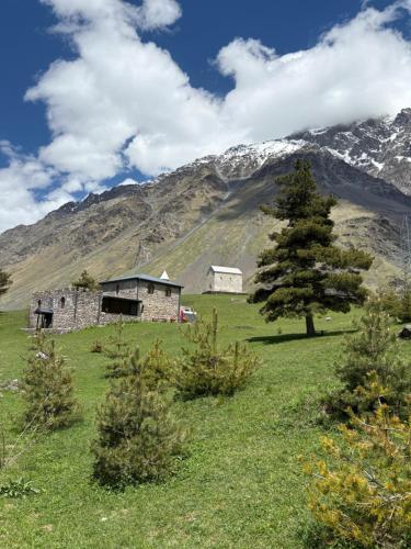 a building in a field with a tree and a mountain at Devdaraki Apartments N 113 in Stepantsminda