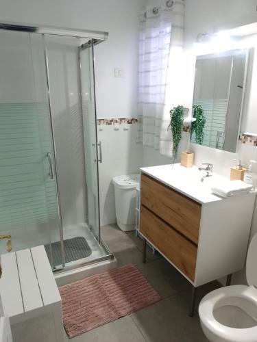 a bathroom with a shower and a sink and a toilet at Casa Fortu La Palma in Los Llanos de Aridane