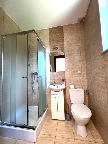 a bathroom with a shower and a toilet and a sink at Apartamenty Amber Wyspa in Gdańsk