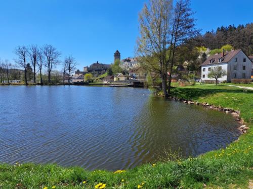 a lake with ducks in the water in a town at Appartement am See in Litschau
