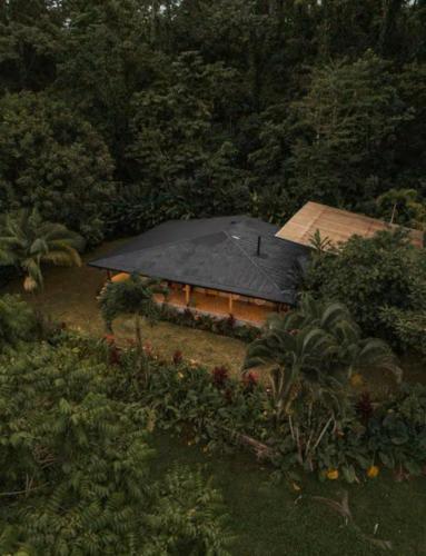 a house with a black roof in a forest at Arenal Nest in San Francisco