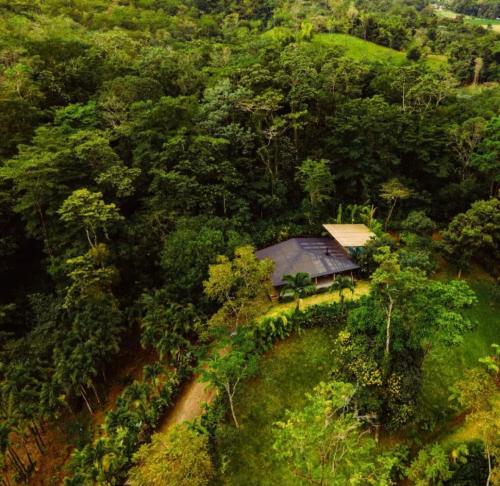 an aerial view of a house in the middle of a forest at Arenal Nest in San Francisco