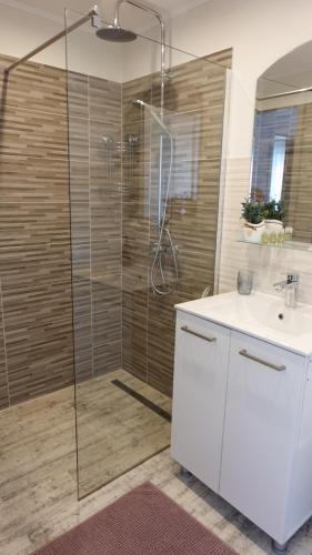 Un baño con ducha de cristal y lavabo. en Casa Gruia, en Ocna Sibiului
